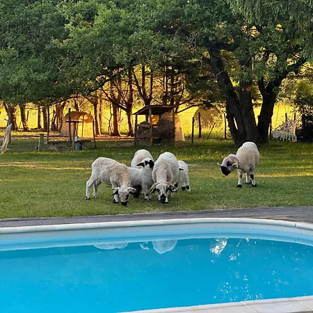 Romantique Petite Chaumiere Pres De Guerande *