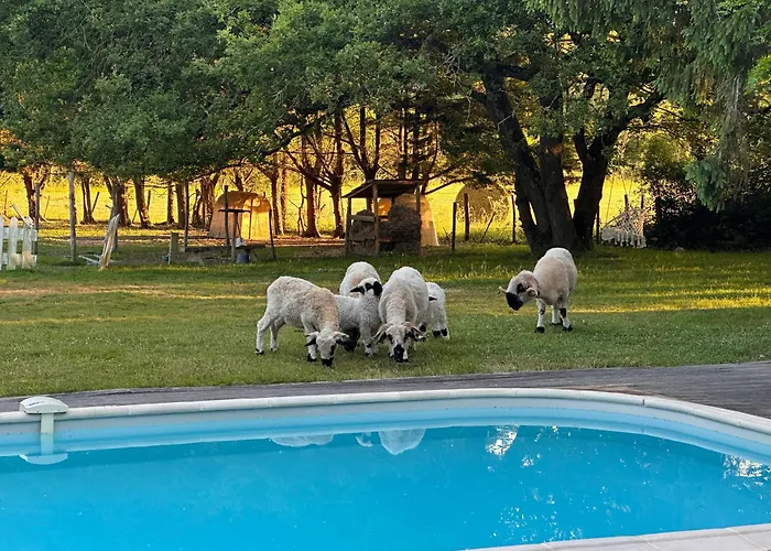 Romantique Petite Chaumiere Pres De Guerande *
